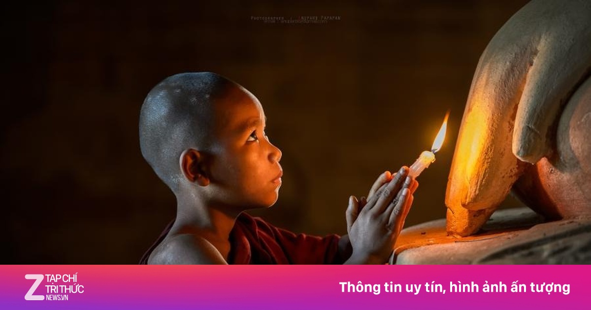 Sách 'Lá Hoa Trên Đường Về' Giải Đáp: Gọi Tên Người Đã Khuất Có Được Không?