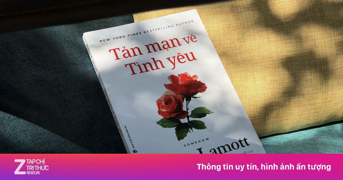 Tình yêu gia đình đôi khi bắt đầu từ một ánh nhìn cúi xuống