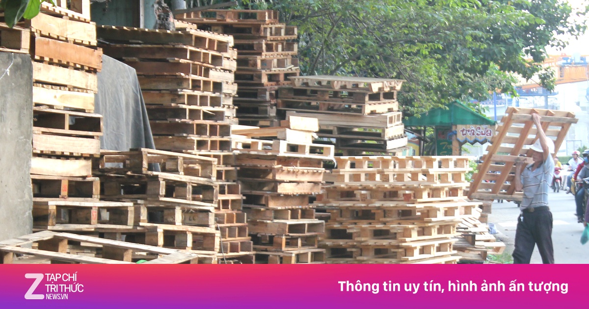 Gỗ thải từ container thành hàng giá rẻ ở Sài Gòn - Kinh doanh - ZNEWS.VN