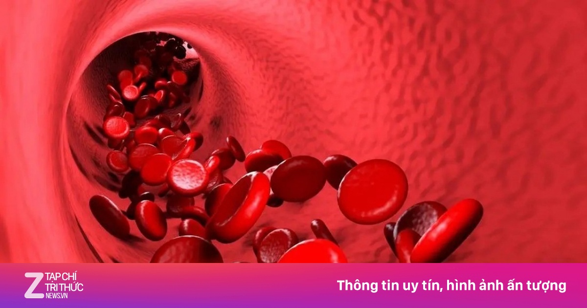Khám phá khoa học mở ra cuộc cách mạng điều trị bệnh tim và huyết áp
