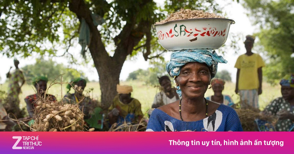 Nền nông nghiệp cần làm gì để nuôi sống 10 tỷ người trong tương lai?