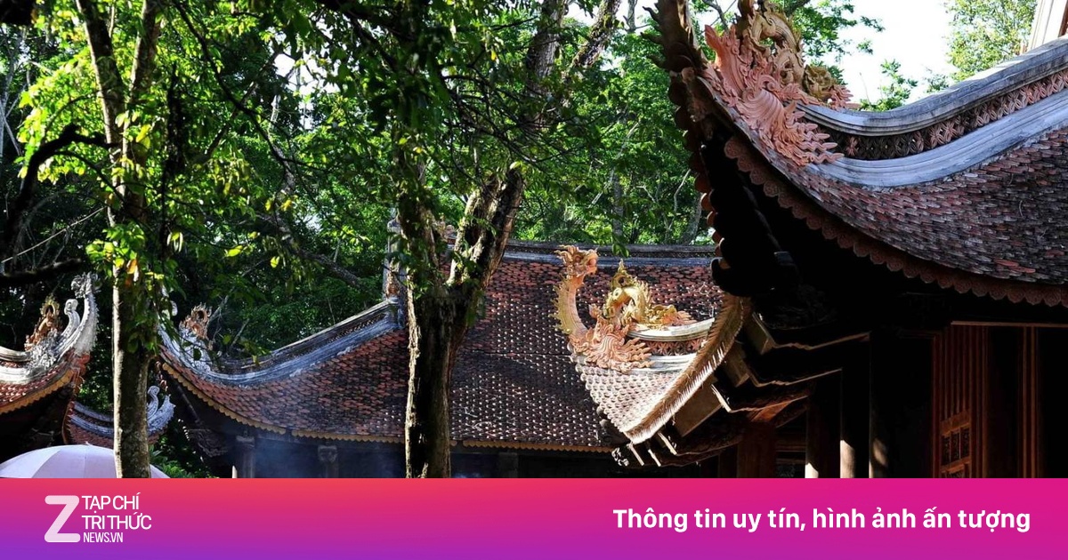 Các vua nhà Lý sùng bái tôn giáo nào nhất?