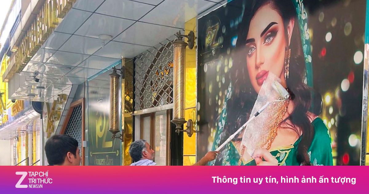 zingnews.vn