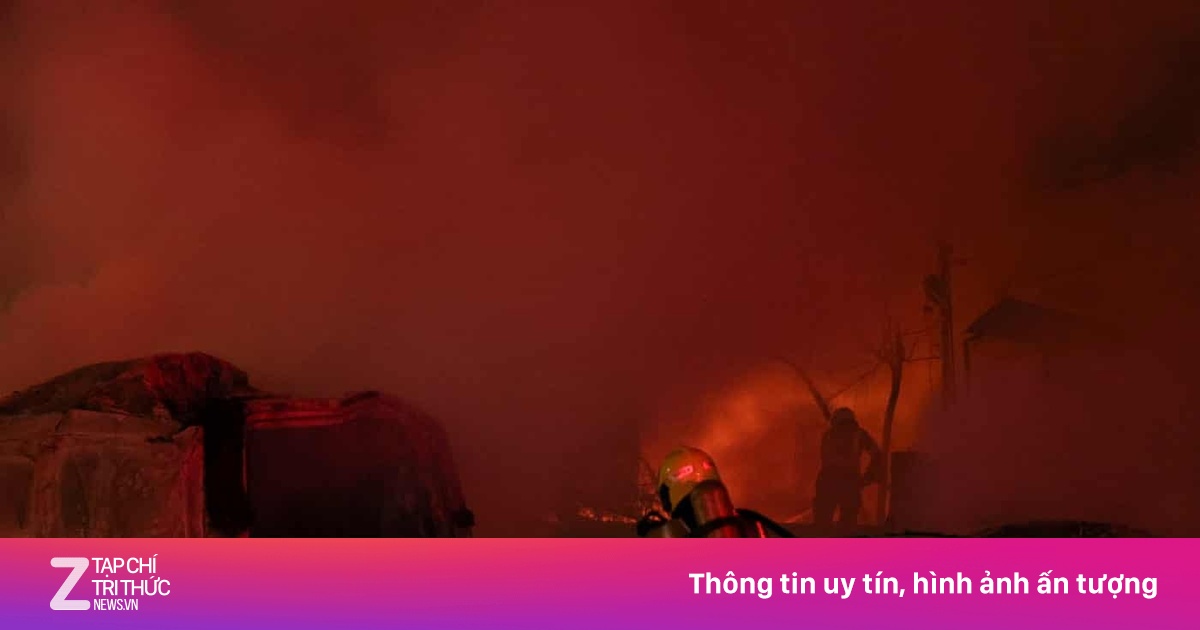 znews.vn