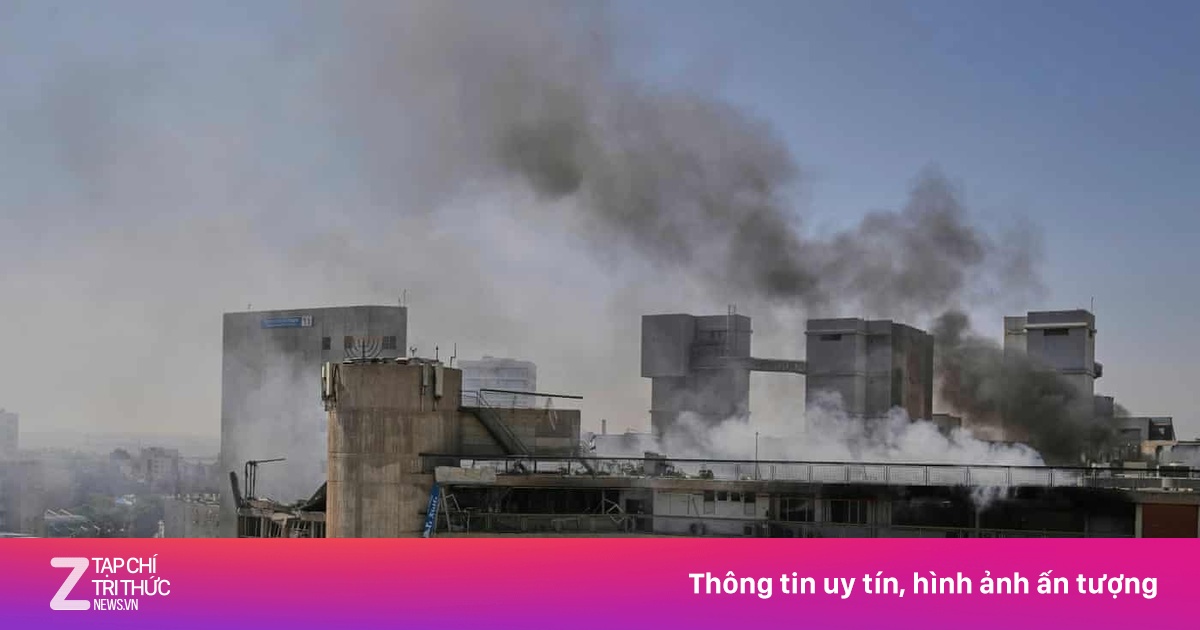 znews.vn