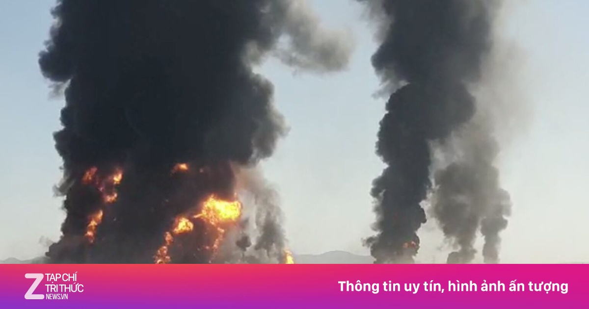 znews.vn