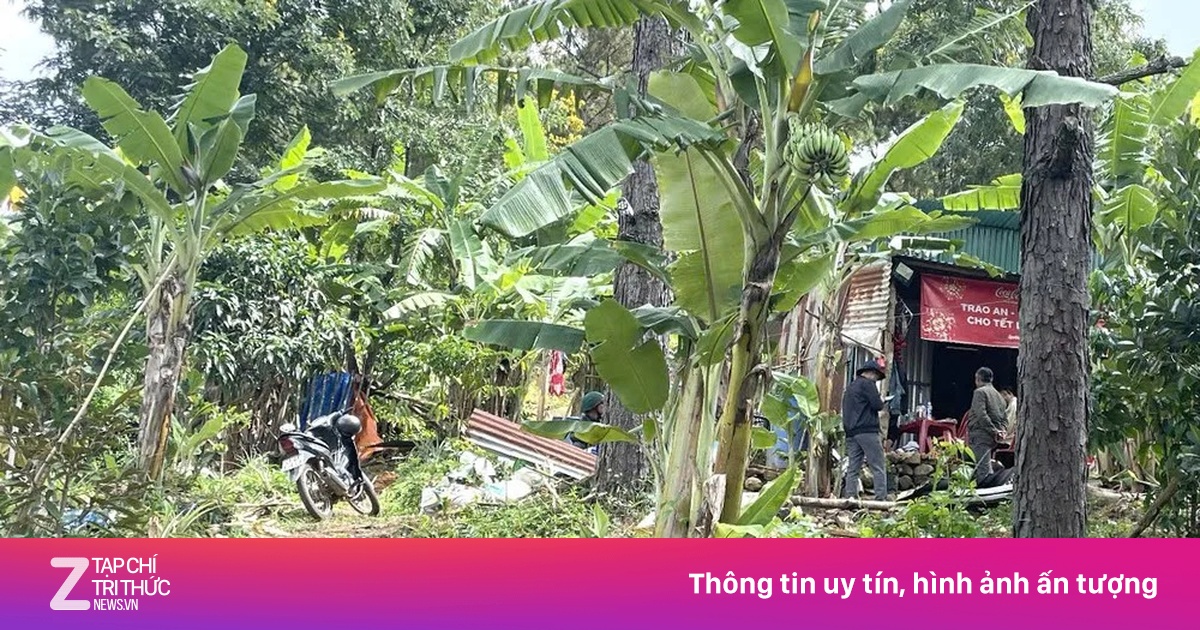 Gần 100 người tìm bé hai tuổi mất tích bí ẩn ở Lâm Đồng