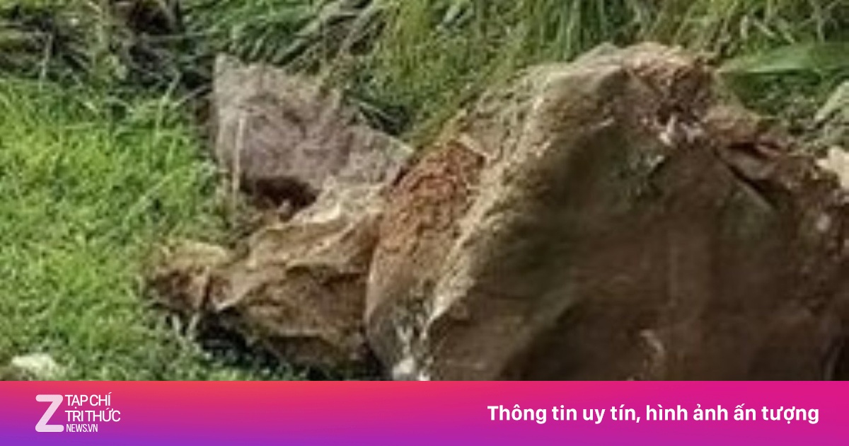 Theo người lớn đi chăn bò, hai cháu bé bị đá đè ở Đắk Lắk