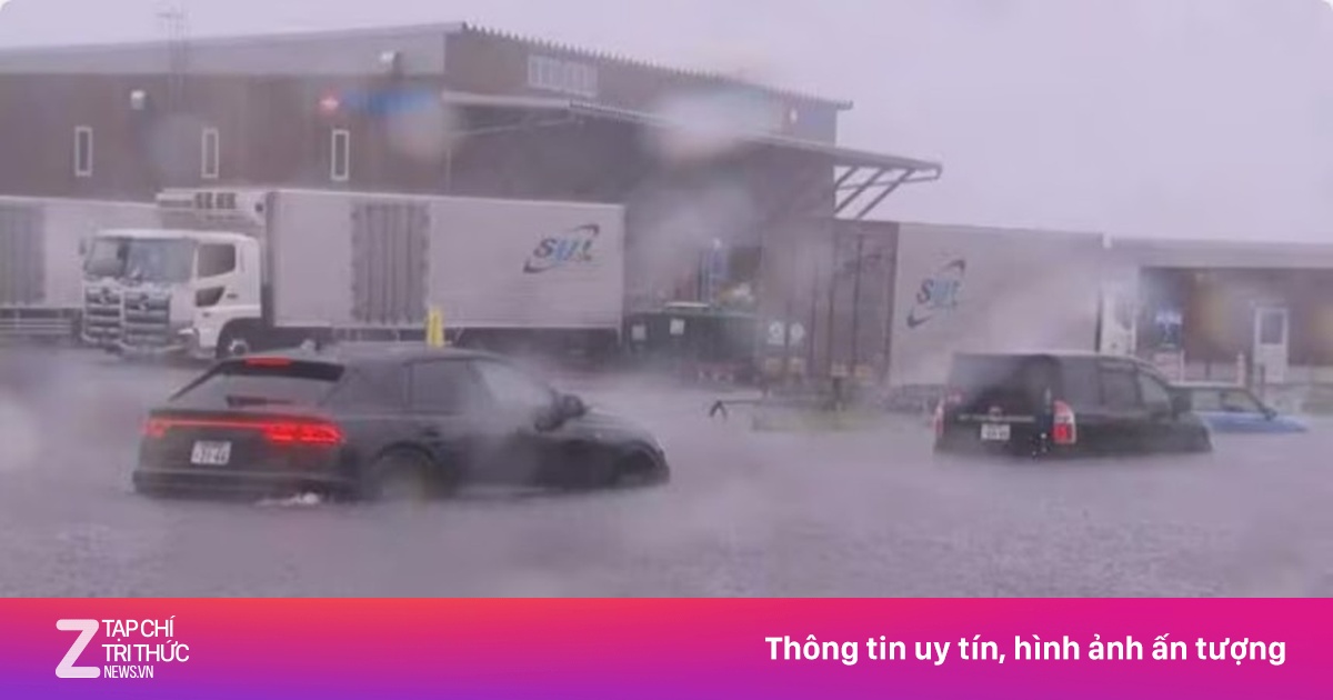 Động đất tại Philippines có thể làm thay đổi mực nước ở Nhật Bản