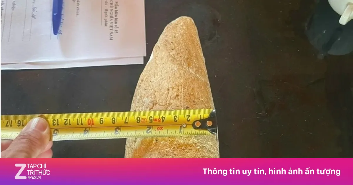 Nhặt được vật nghi ngà voi dưới sông rồi rao bán trên mạng