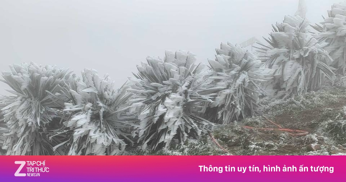 Không khí lạnh tăng cường, miền Bắc mưa nhỏ rải rác, vùng núi rét đậm