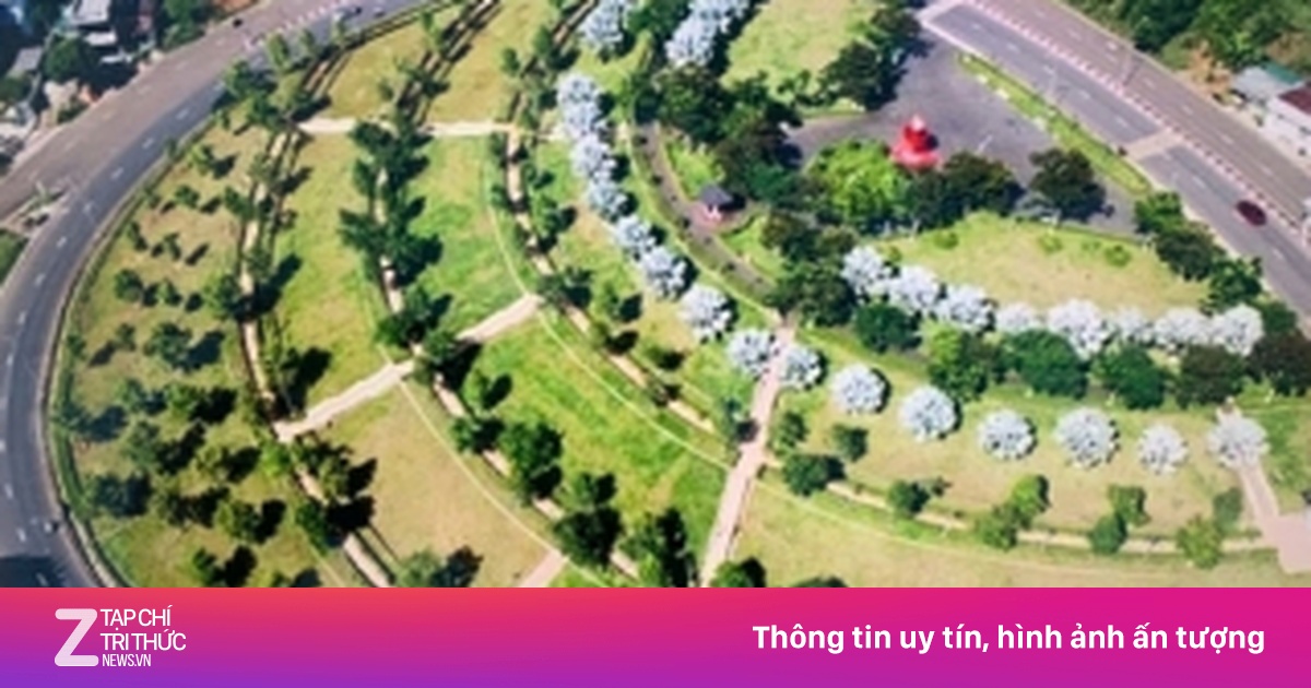 Vụ Công ty Cây Xanh Công Minh: Các đối tượng gây thiệt hại hơn 395 tỷ