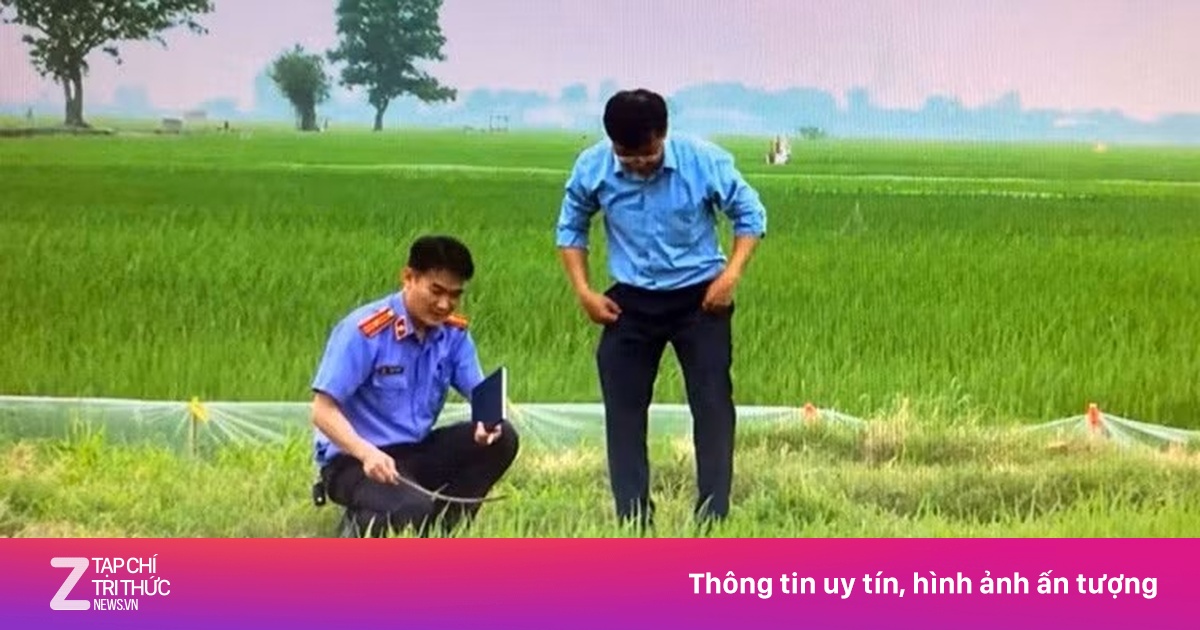 Hải Phòng: Nhiều người tử vong thương tâm vì bẫy chuột bằng điện tự chế