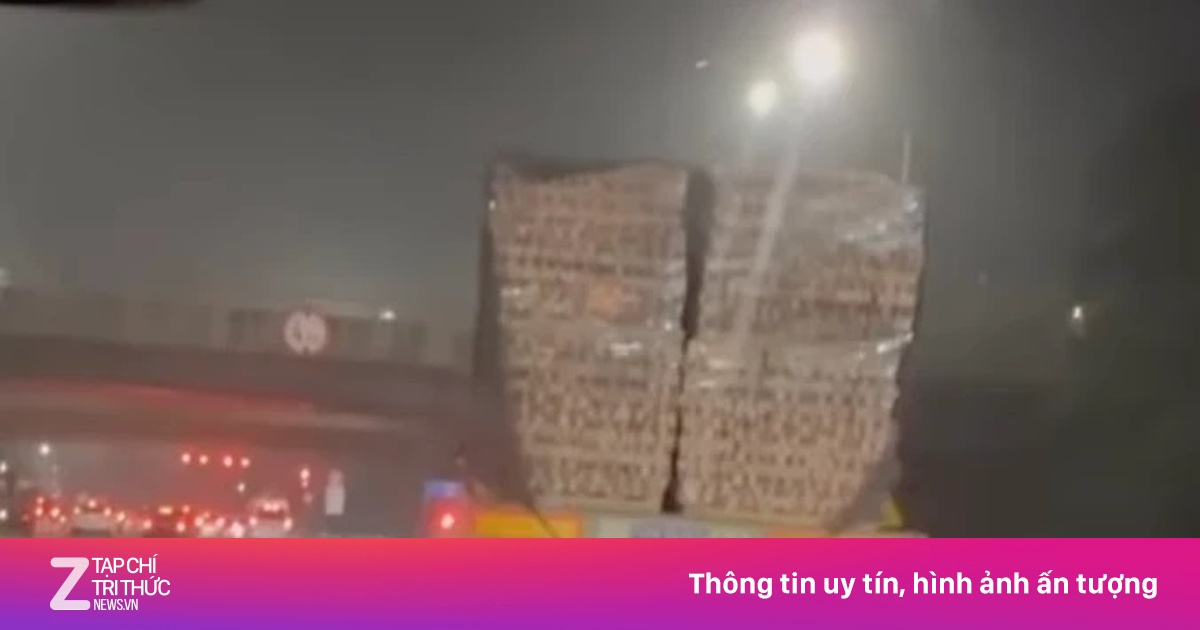 Xử phạt tài xế xe container chở 25 kiệu gạch