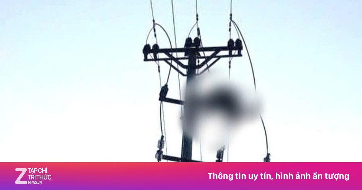Nam sinh 16 tuổi tử vong thương tâm trên cột điện cao thế tại Nghệ An