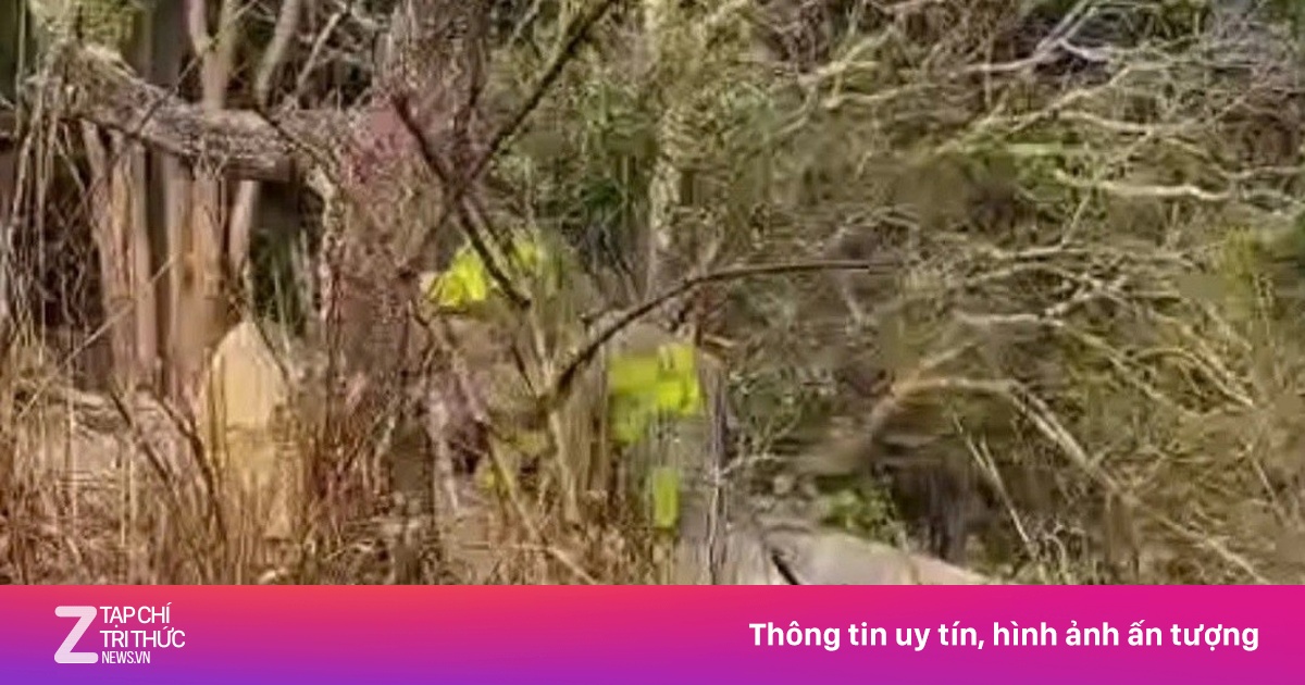 Phát hiện một thi thể nam giới trên núi cao ở Lâm Đồng