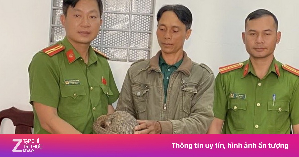 Tê tê Java quý hiếm đi lạc vào nhà dân