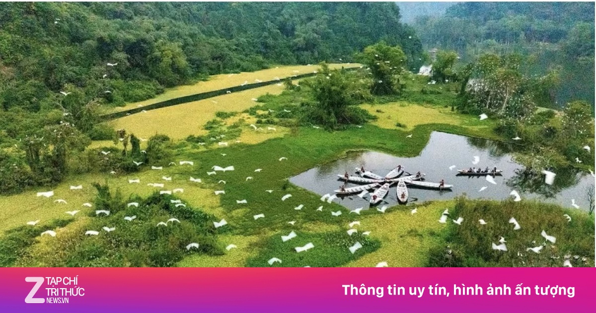 Sự thực Vườn chim Thung Nham được chuyển nhượng giá hàng triệu USD