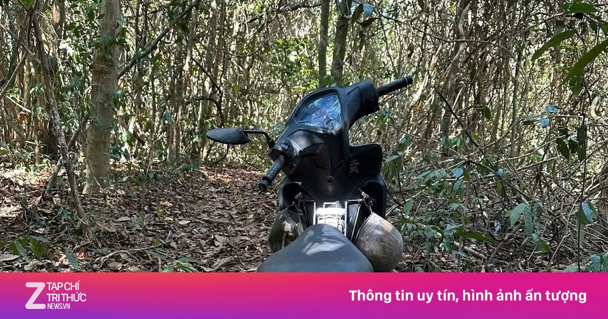 Bà lão 69 tuổi tử vong trong rừng sau 5 ngày mất tích — image 2