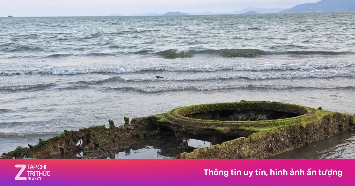 Vật Thể Nghi Xe Tăng Lộ Diện Ở Biển Quy Nhơn: Lực Lượng Chức Năng Khẩn Trương Khoanh Vùng, Chuẩn Bị Trục Vớt