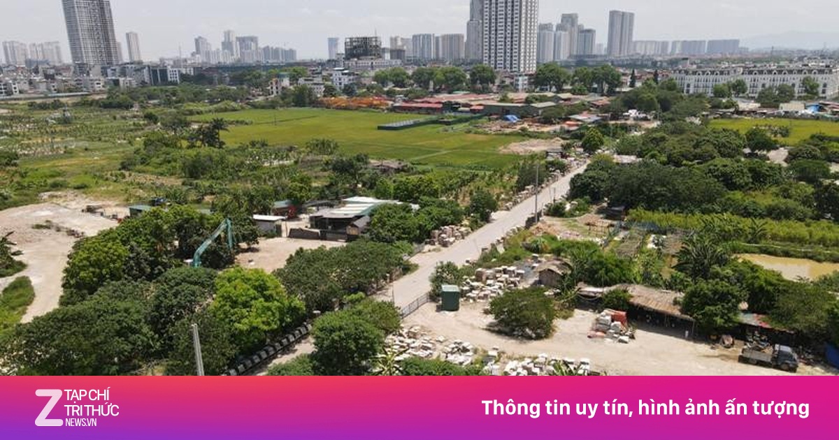 Chủ tịch xã sẽ được phạt vi phạm đất đai lên đến 250 triệu đồng?