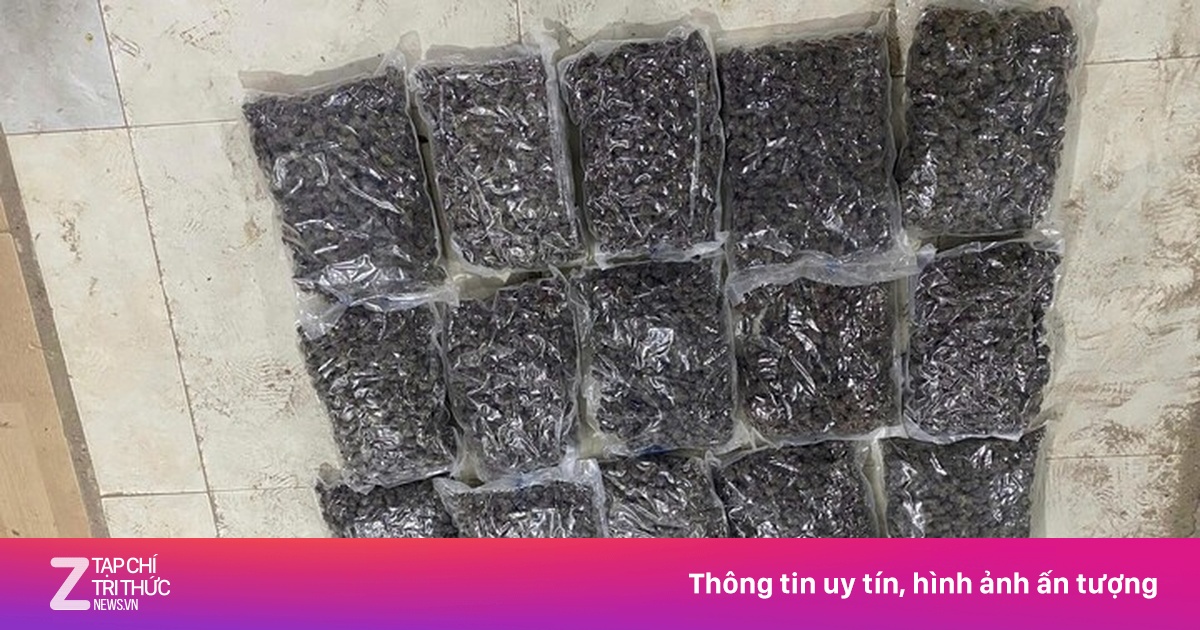 Triệt phá đường dây ma túy núp bóng cửa hàng kinh doanh quần áo