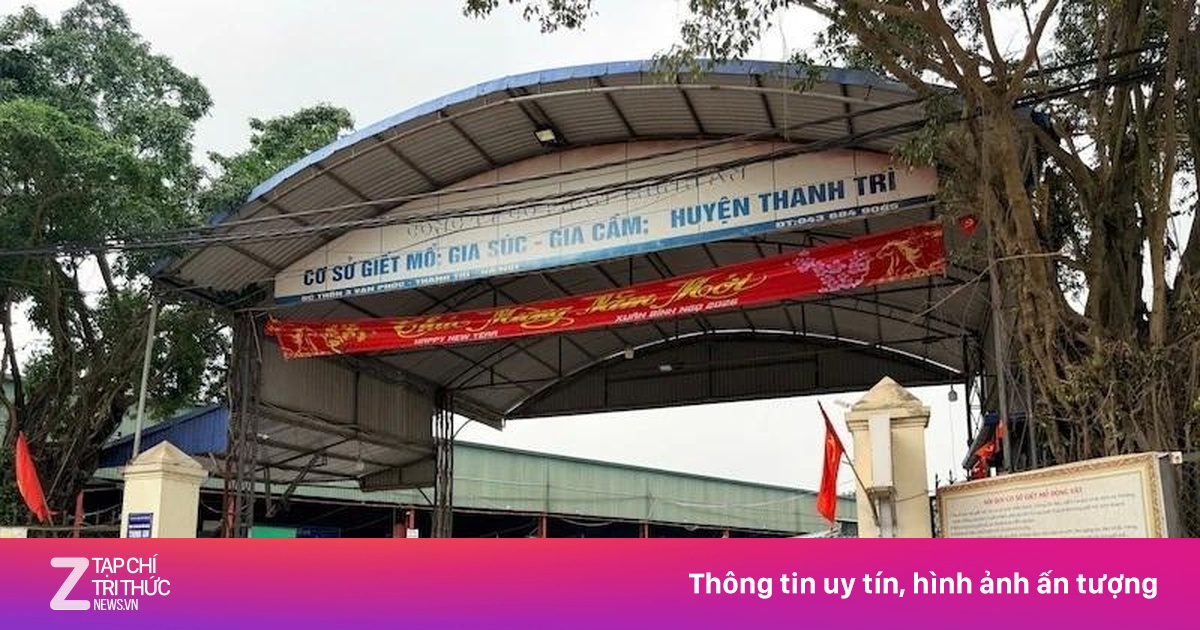 Công An Hà Nội Khởi Tố Vụ Thu Tiền Trái Phép Tại Lò Mổ Vạn Phúc