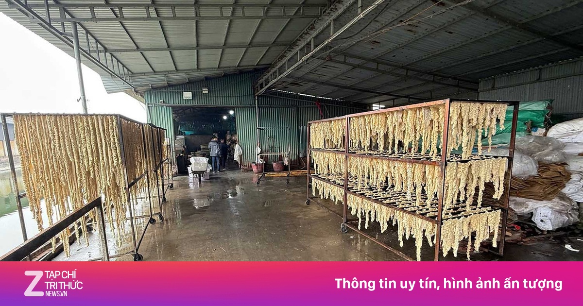 Hải Phòng phạt 226,5 triệu đồng, tiêu hủy 55,3 tấn nội tạng không rõ nguồn gốc