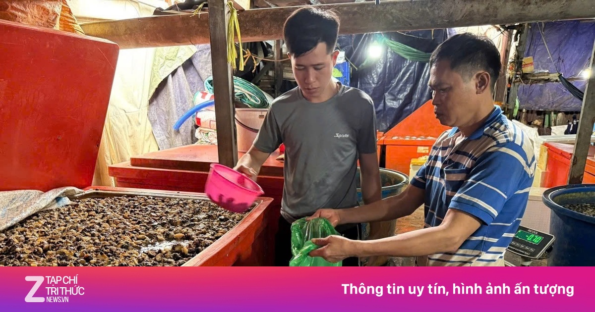 Triệt phá 'xưởng' dùng 500 tấn hóa chất độc hại ngâm 3.000 tấn thịt ốc