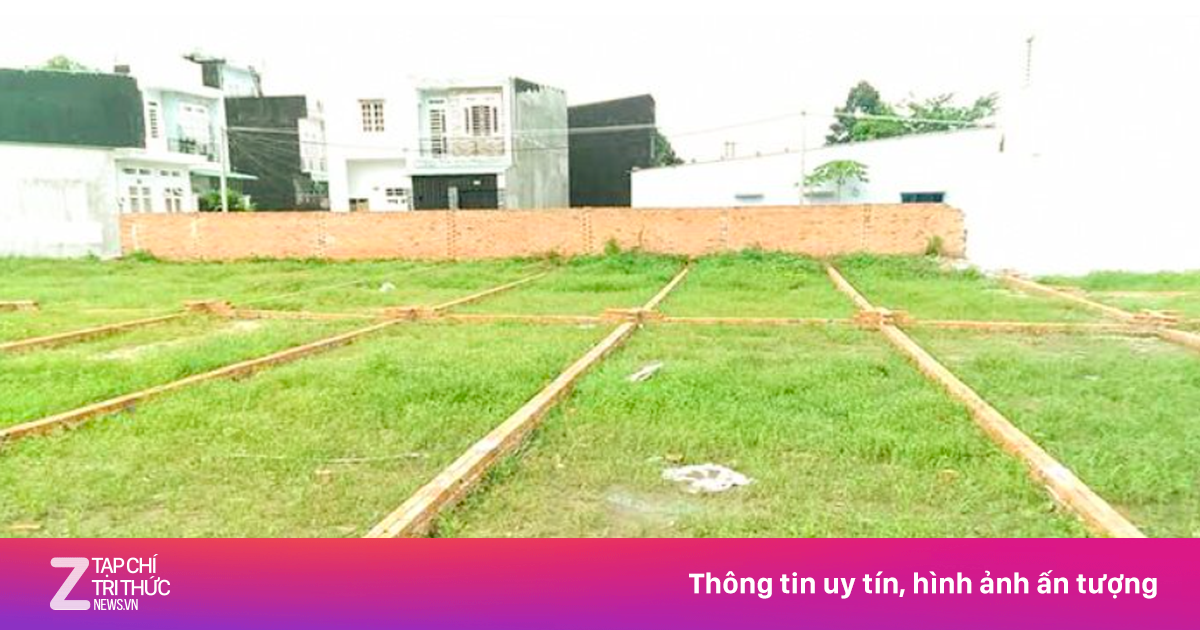 Án lệ tranh chấp hợp đồng đặt cọc 2 thửa đất giữa những người trong họ