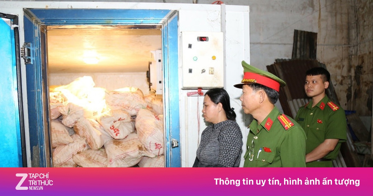 Khởi tố người thu mua, bán heo nhiễm dịch tả lợn châu Phi ở Đồng Nai