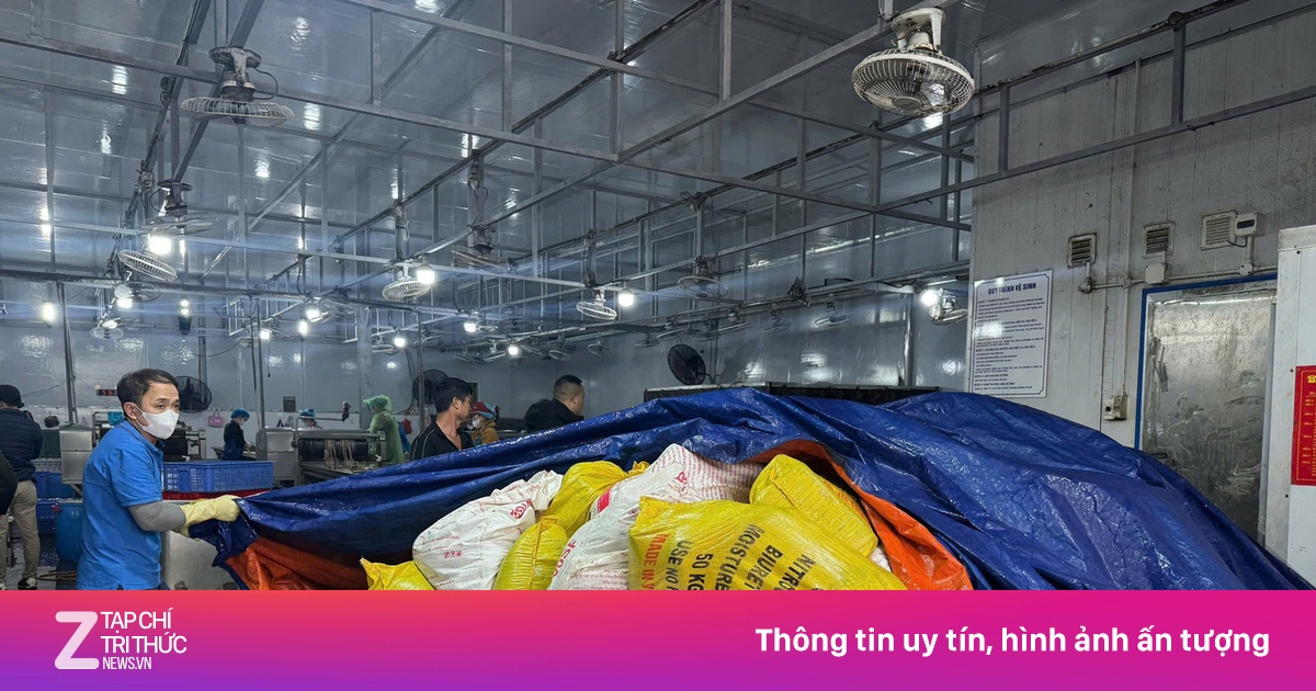 Thu giữ hơn 60 tấn lòng lợn không rõ nguồn gốc tại kho đông lạnh