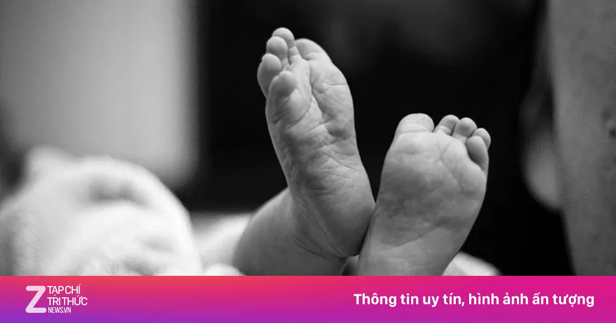 Xác minh vụ thi thể trẻ sơ sinh trong sọt rác tại KCN ở Vĩnh Long