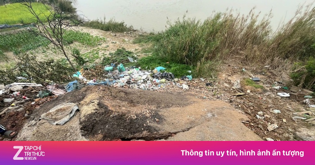 Hai xưởng phân kim xả hơn 6,7 tấn chất thải nguy hại ra sông Đuống