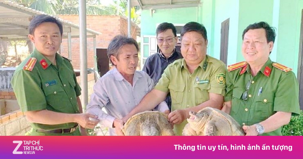 Một người dân Lâm Đồng giao nộp hai con rùa quý hiếm