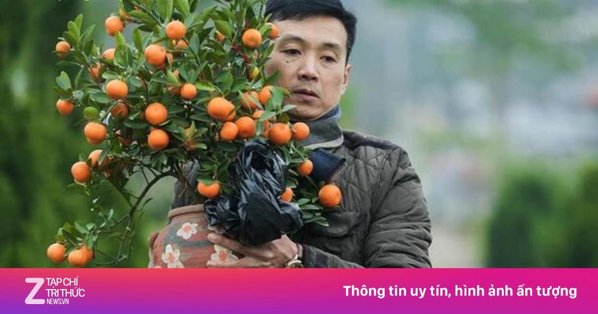 Dự báo thời tiết ngày 4/2: Miền Bắc rét đậm cục bộ