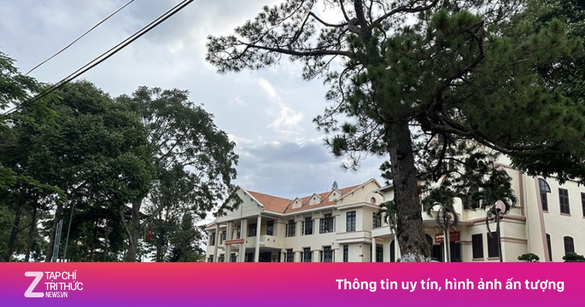 Làm rõ trách nhiệm 2 Bí thư xã ở Lâm Đồng để lộ thông tin người tố cáo