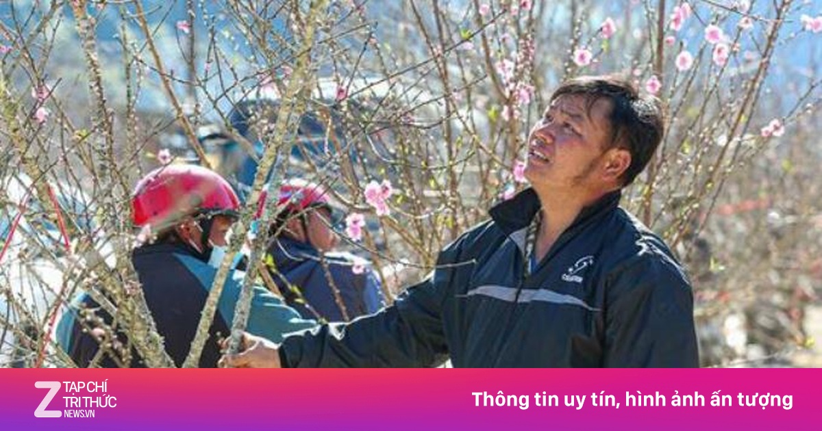 Dự báo thời tiết ngày 2/2: TP.HCM nắng ấm, Hà Nội trời rét