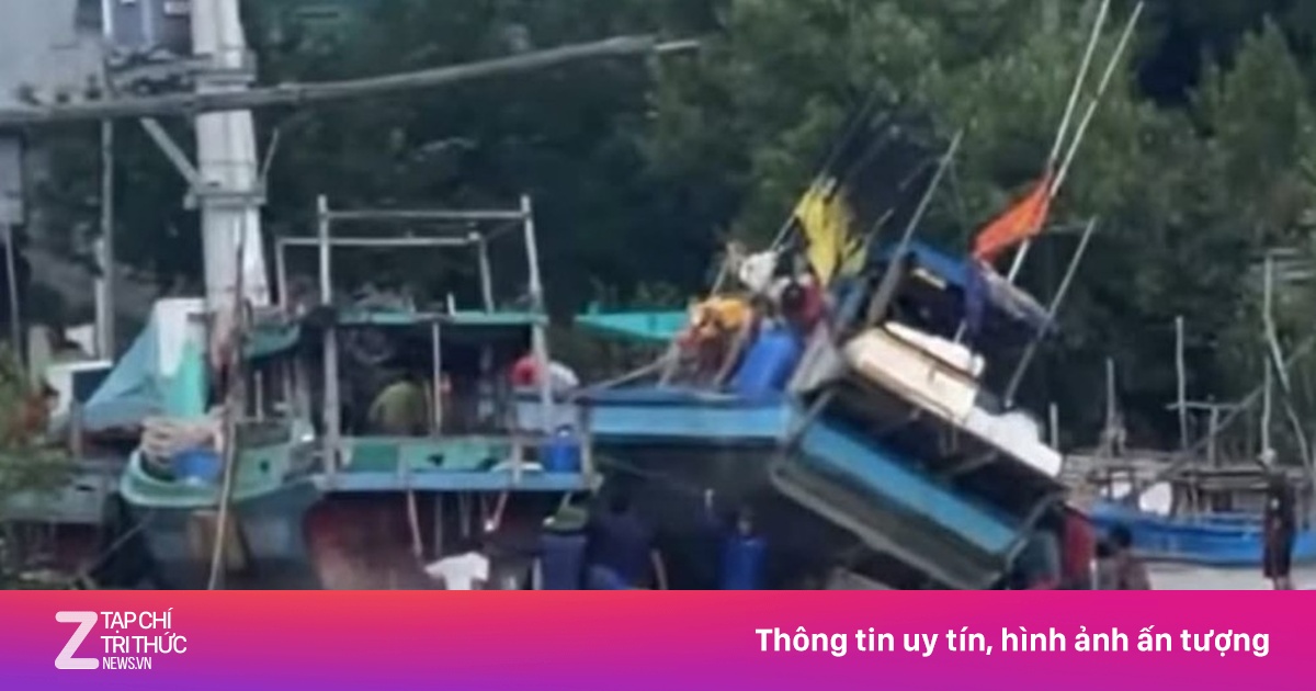 Thợ bị tàu cá đè tử vong