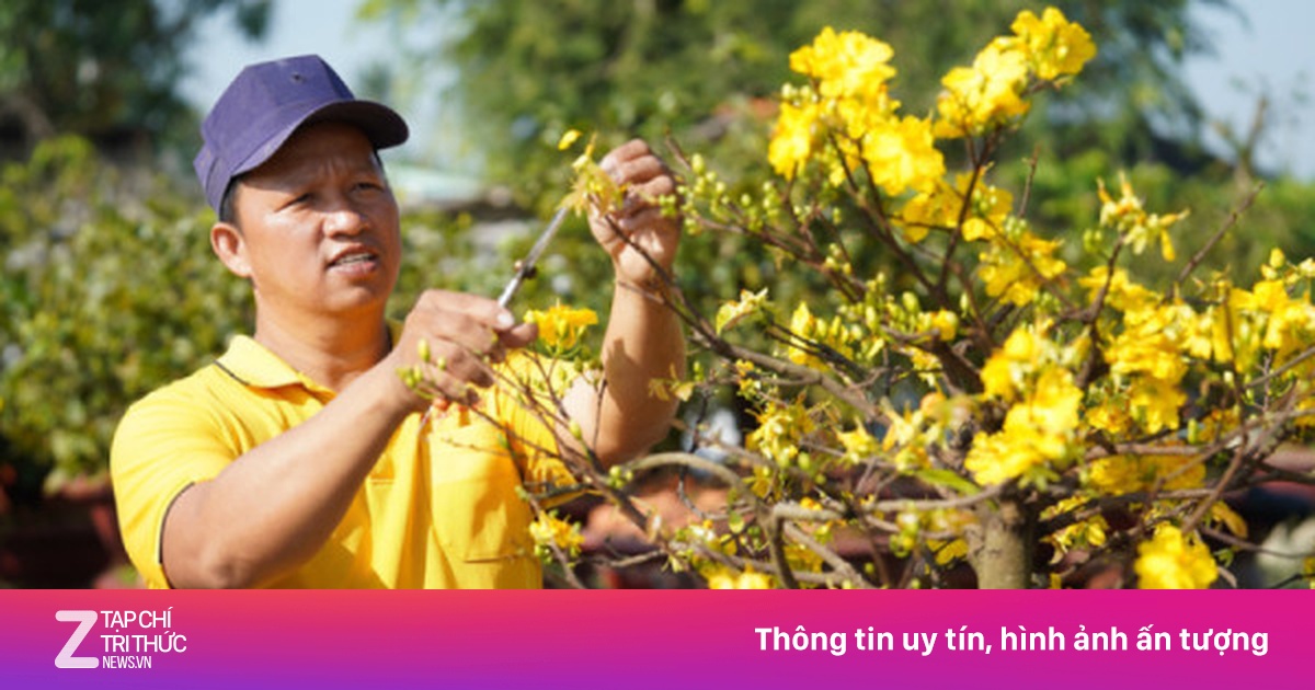 Thời tiết ngày mùng 5 Tết: Miền Nam có nơi nóng hơn 35°C