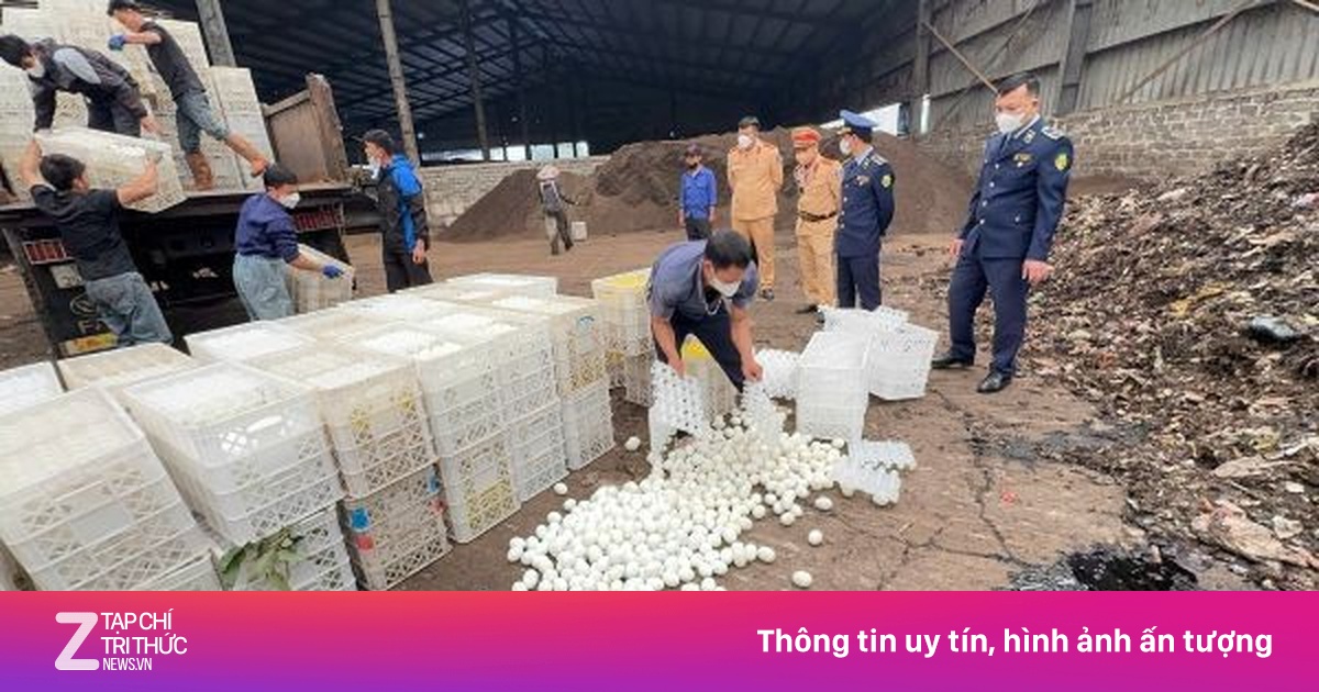 Gần 29.000 quả trứng vịt lộn bị tiêu hủy trong dịp Tết