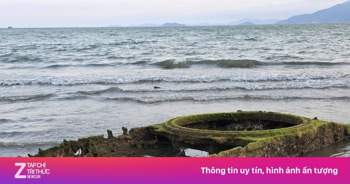 Xác xe tăng bất ngờ trồi lên ở biển Quy Nhơn, Gia Lai thu hút sự chú ý