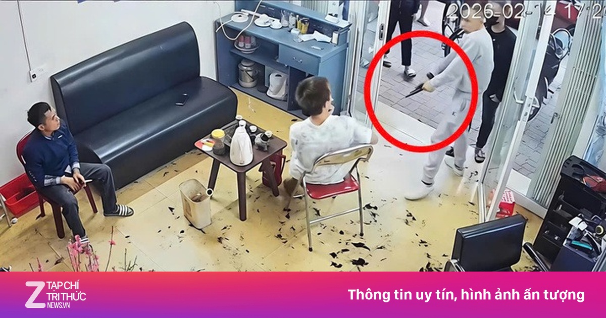 znews.vn