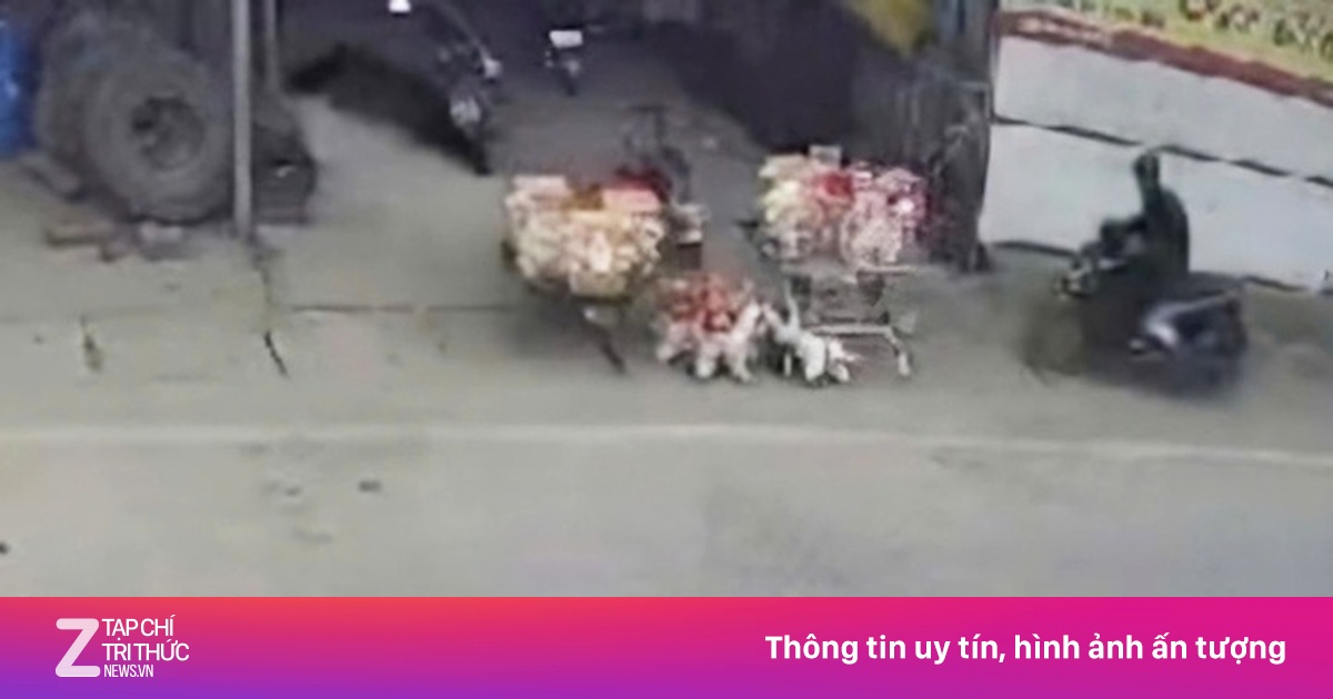 2 trẻ bị 'ma men' tông văng khi đang chơi trước nhà, một cháu tử vong