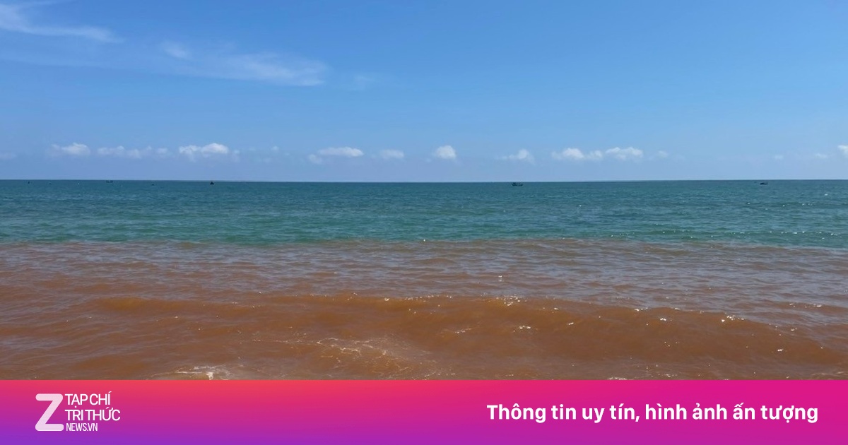 Hiện tượng nước biển Gia Lai chuyển màu nâu đỏ: Chuyên gia nghi ngờ thủy triều đỏ