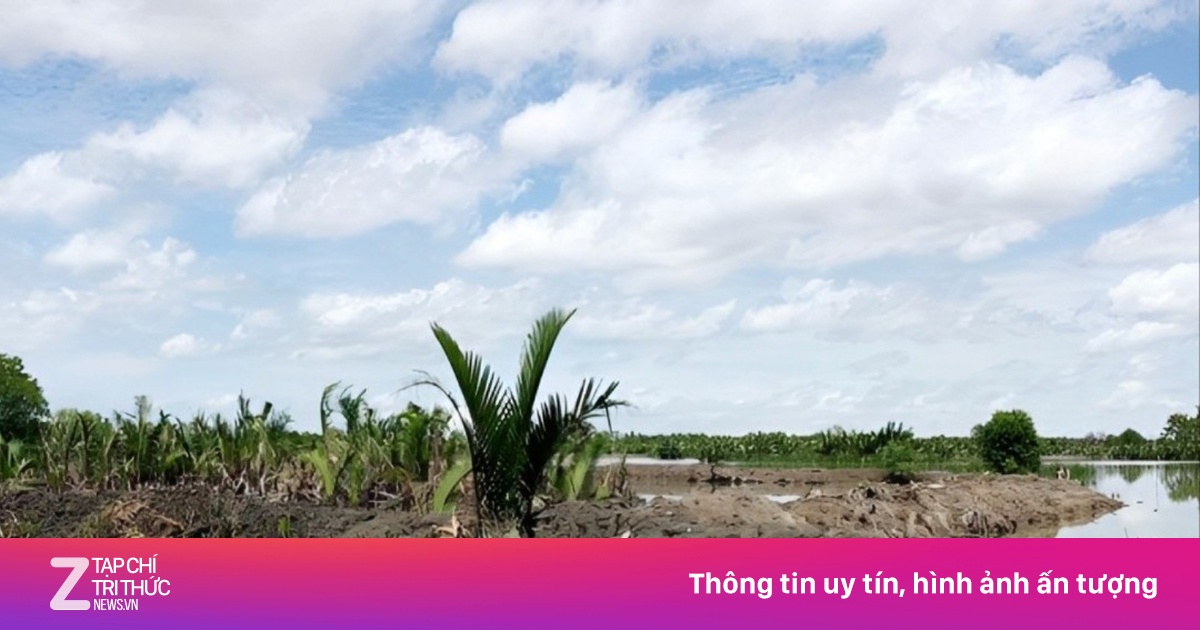 An Giang Cưỡng Chế Hai Cá Nhân Chiếm Gần 29 Ha Đất Công Tại Đầm Đông Hồ