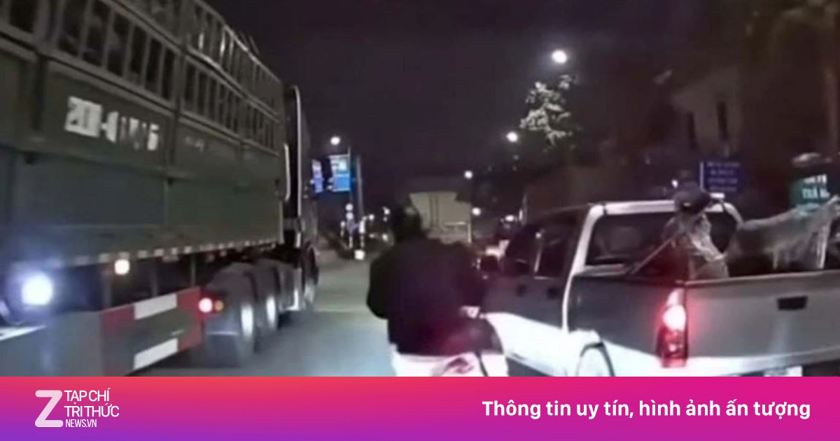 Dựng lại hiện trường vụ xe bán tải suýt đẩy 3 người vào gầm xe đầu kéo