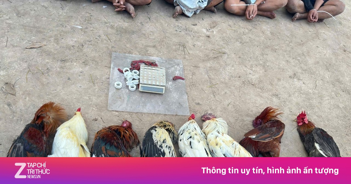 Công an TP.HCM triệt phá hai vụ đánh bạc lớn, thu giữ nhiều tang vật