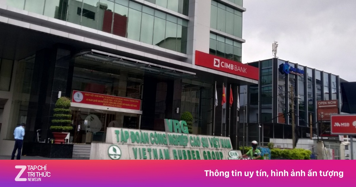 Thanh Tra Chính Phủ Chỉ Ra Hàng Loạt Vi Phạm Tại Tập Đoàn Công Nghiệp Cao Su Việt Nam
