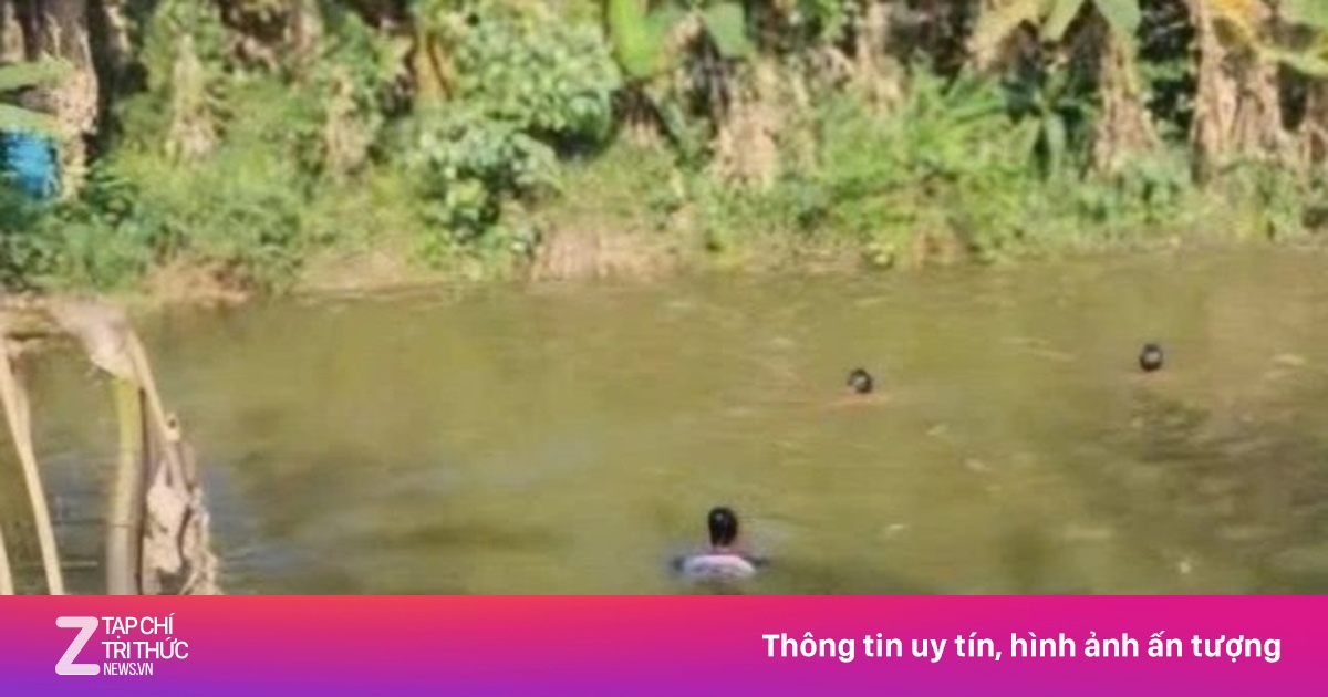 Theo cha mẹ lên rẫy, bé 9 tuổi đuối nước tử vong